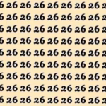 7 Second Illusion Challenge: Can You Identify the Hidden 62 Before Time Runs Out